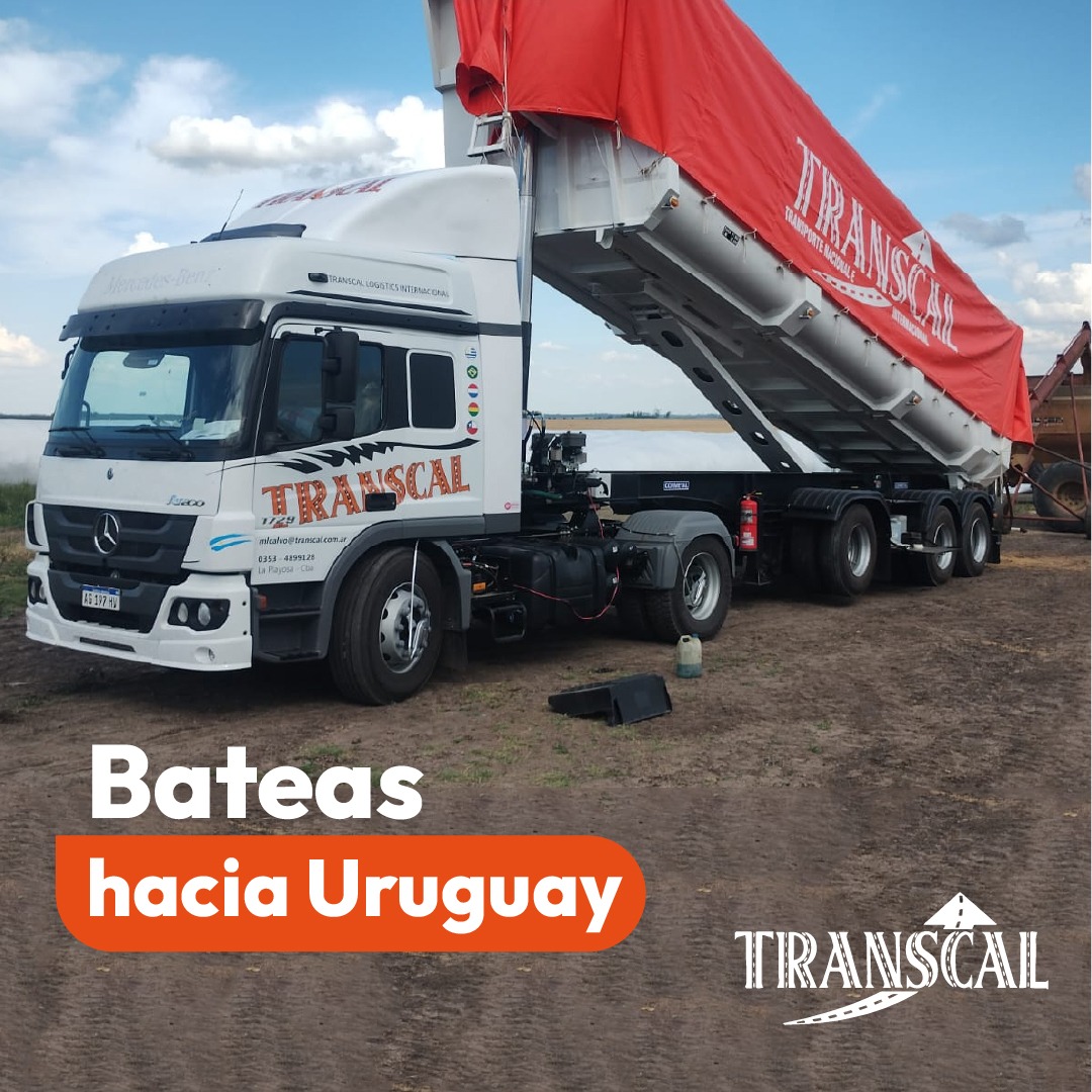 ¿Sabías que... - Transcal SRL - Logística Internacional | Facebook