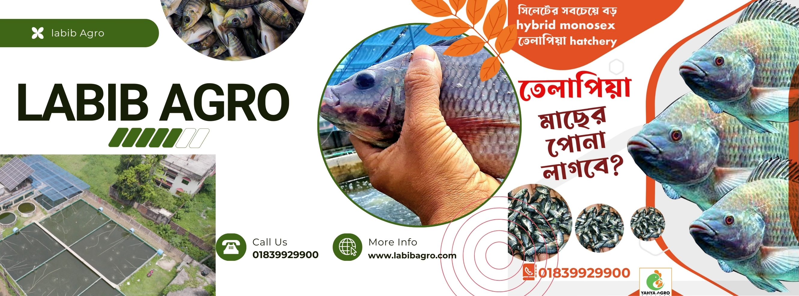 LABIB AGRO