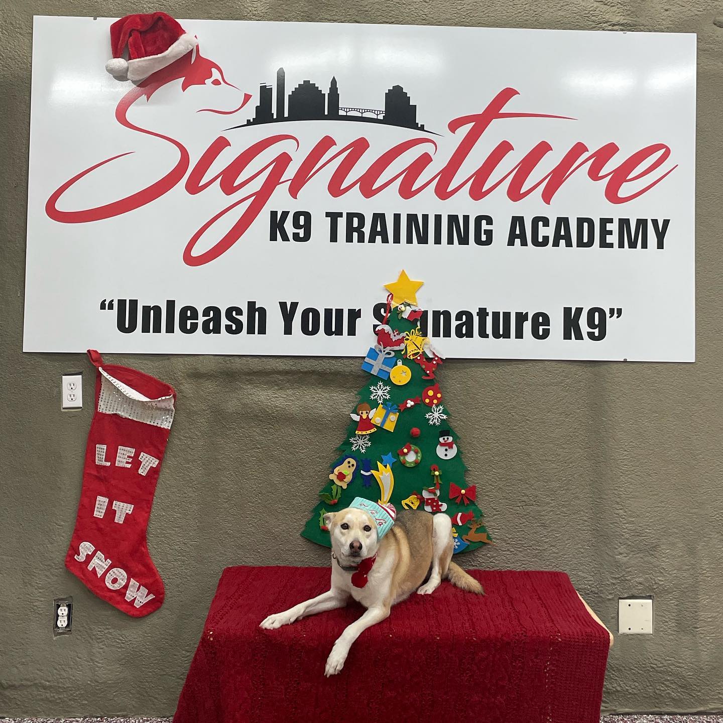 Signature K9 Training Academy - Hey Signature K9 Family, lets give a ...