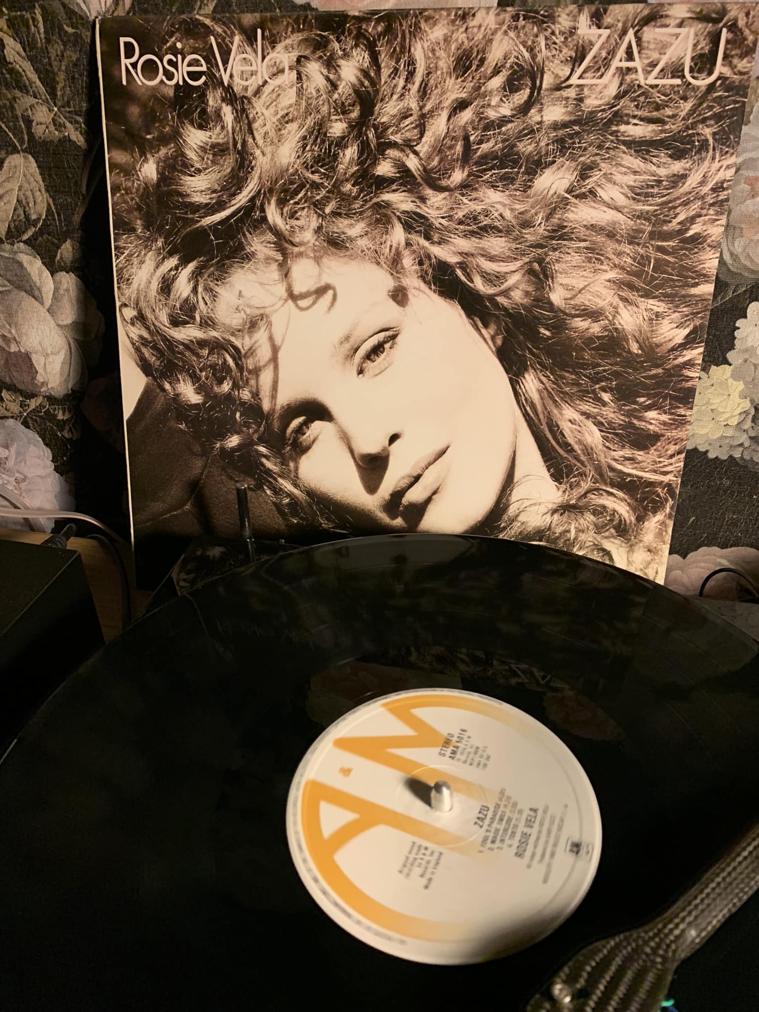 Rediscovering Rosie Vela's Zazu album