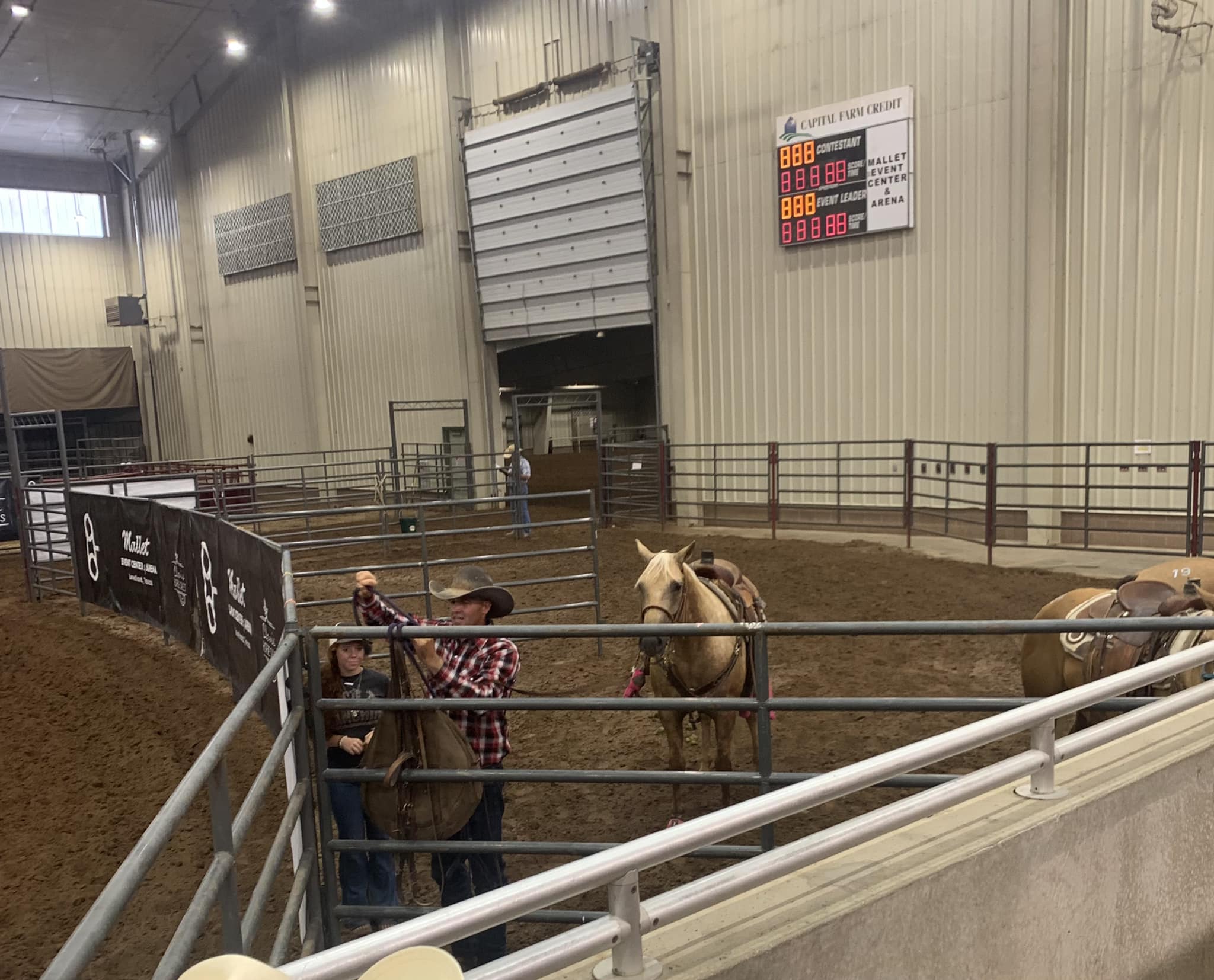 First one I saw. Walked up the... - CS Cattle Co. - Horses