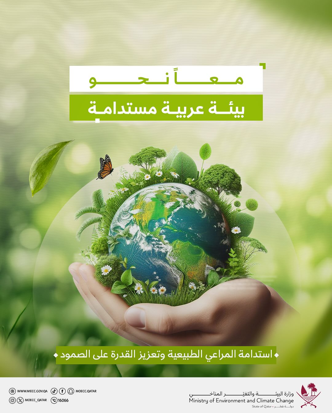 . في يوم البيئة... - وزارة البيئة والتغير المناخي بدولة قطر | Facebook
