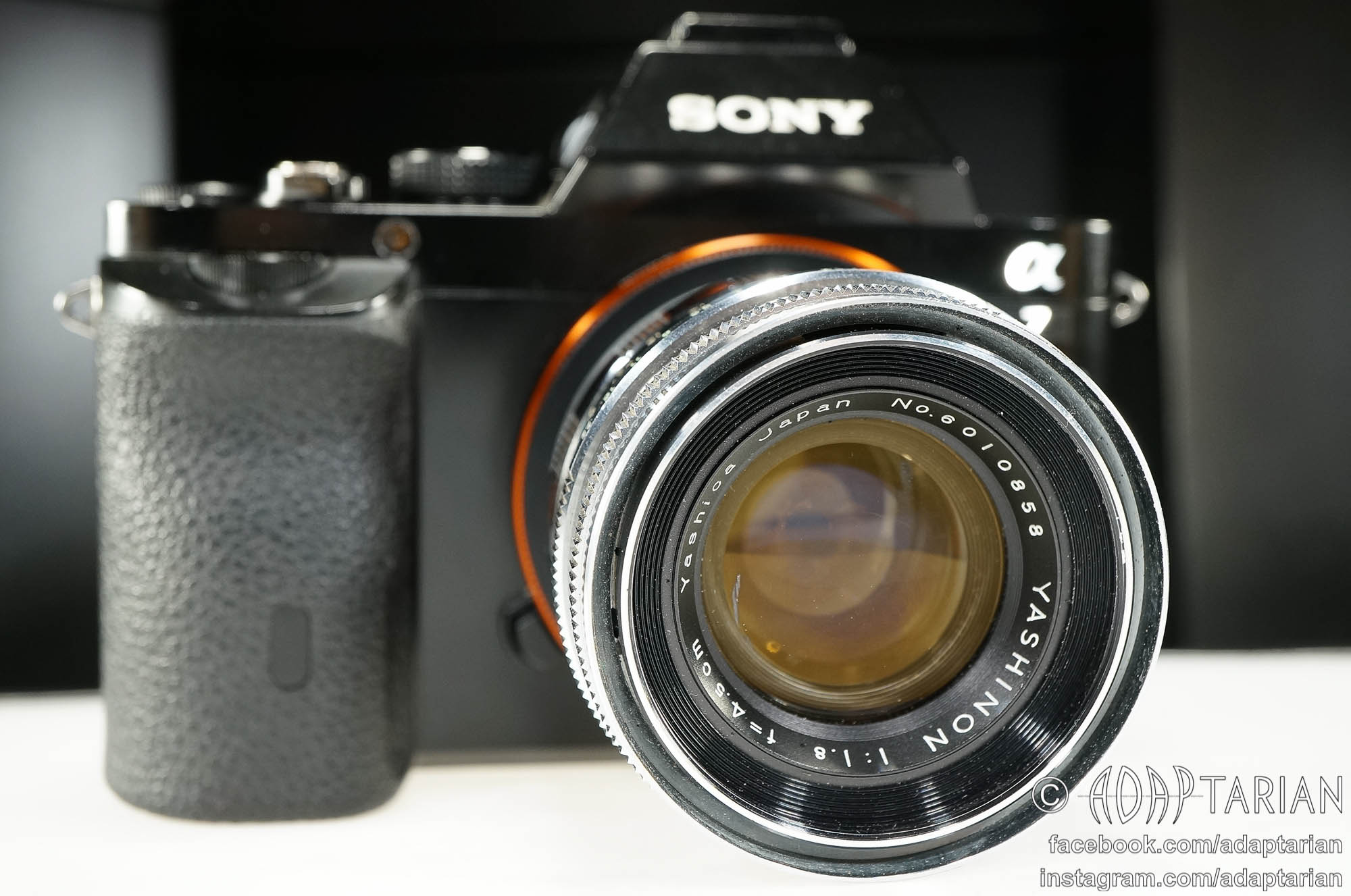 Yashica 100mm f4 bellows lens on Sony E