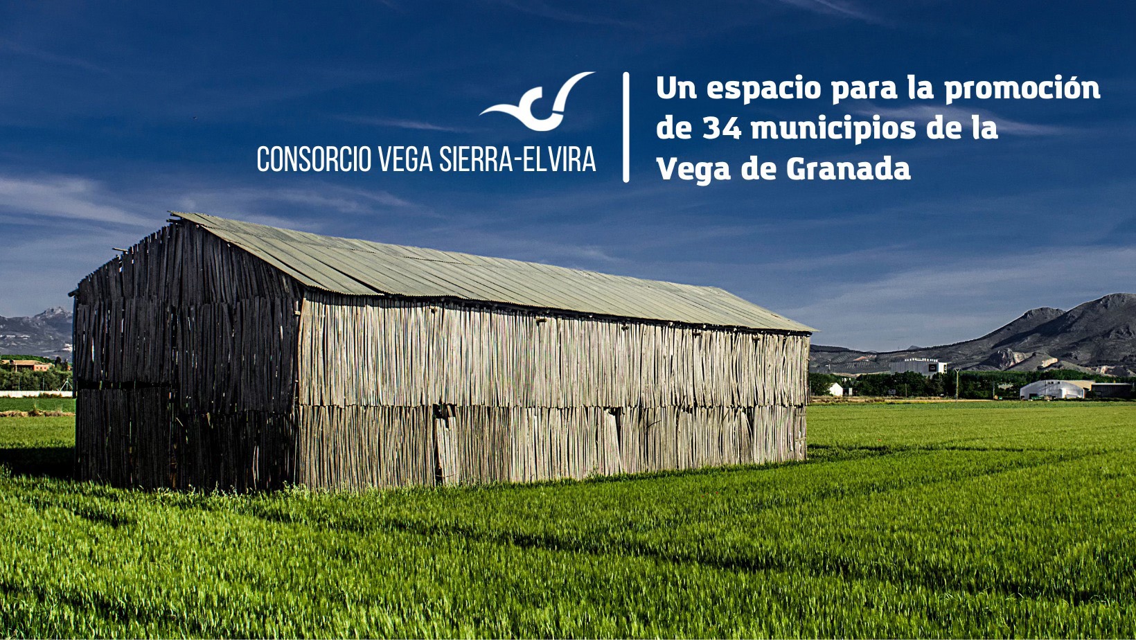 💳 Tarjeta... - Consorcio de Transporte Metropolitano Granada | Facebook