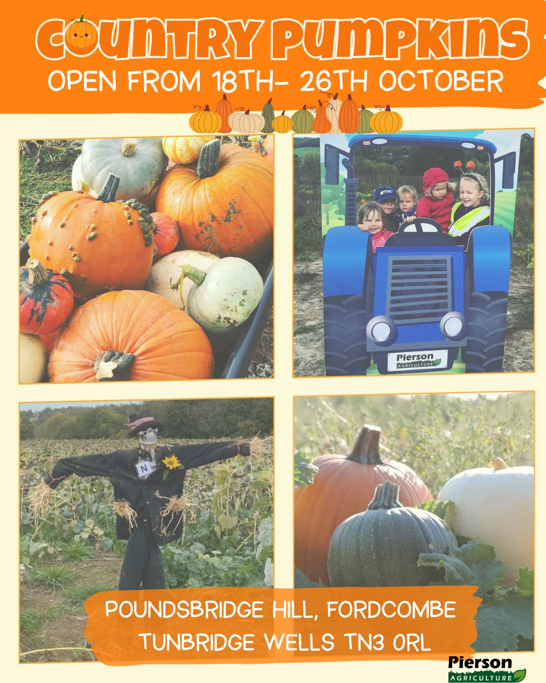 Pierson - 🎃 Country Pumpkins PYO 🎃 The pumpkins are looking amazing ...