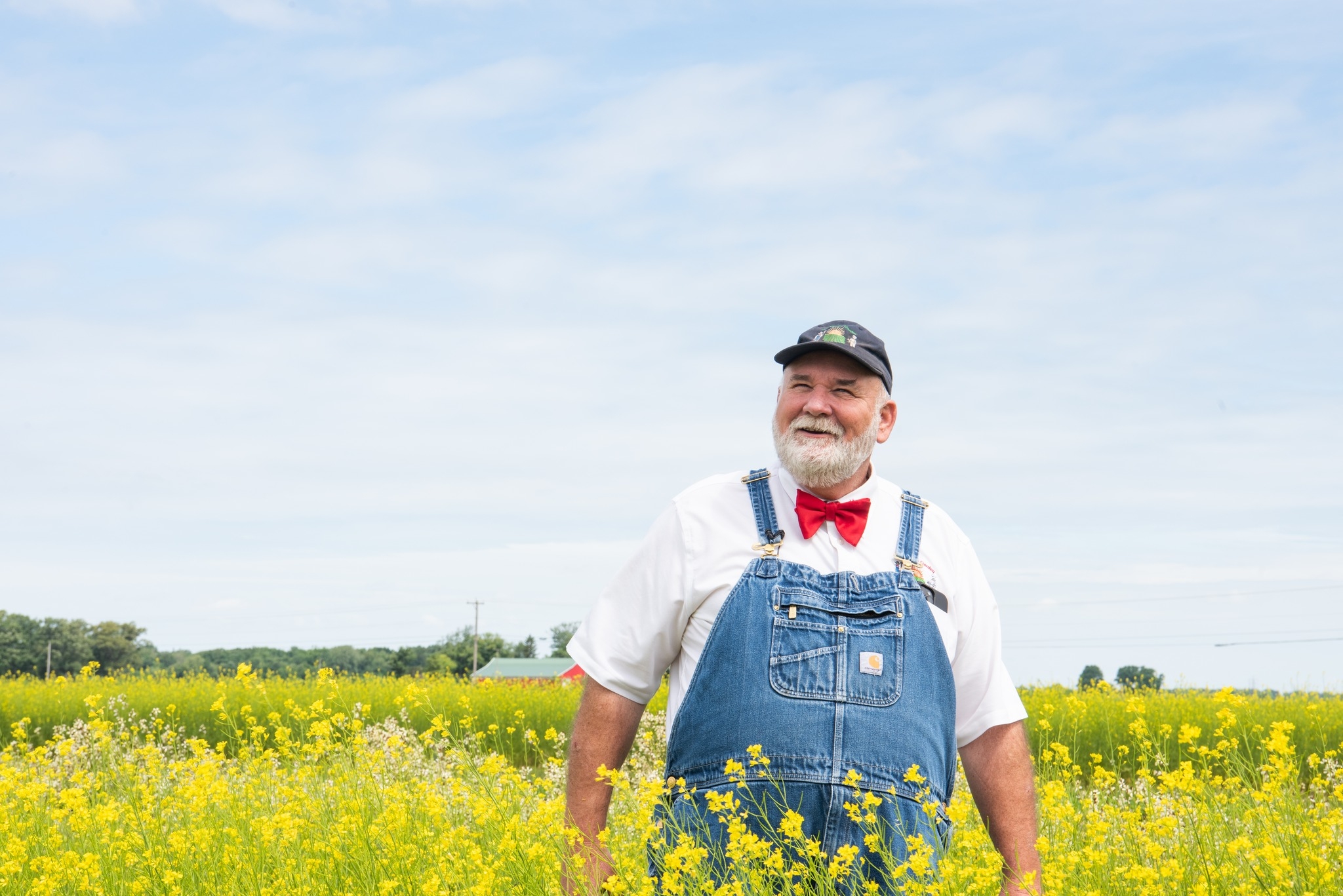 Hearty, soil-grown lettuce is being harvested from our fields every day ...