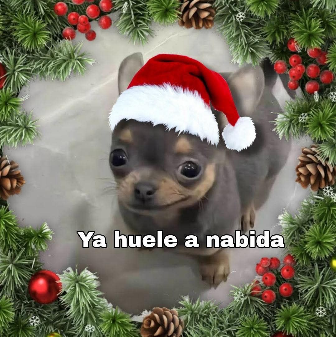 🥰 #navidad #perritos - Vectores Axolote png | Facebook