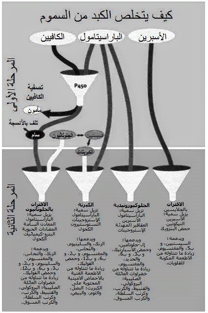علاج القرآن لبني الانسان الجزء الثالث من كيفية إزالة السموم من الكبد والجسم تخلص الآن من سمومك ونشط أيضك لقرون عديدة وخبراء الصحة يمتدحون مزايا تخليص الجسم من السموم وبنفس الطريقة