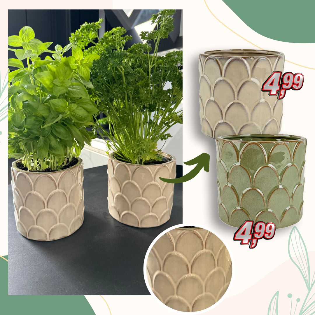 Ersetzt eure alten Töpfe durch diese modernen Töpfe und bringt etwas grün in eure Küche 🌿😊 👉 Welches ist euer Lieblingskraut?💚 Keramiktopf (ca. 15,3 x 13,3 cm) - grün, beige - 4,99€