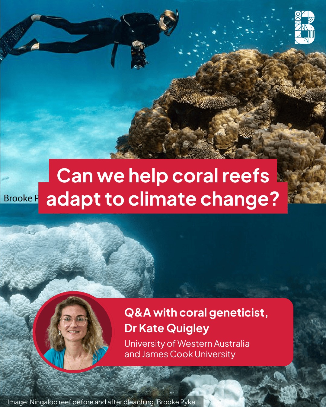 Biodiversity - Coral reefs around Australia continue to be devastated ...