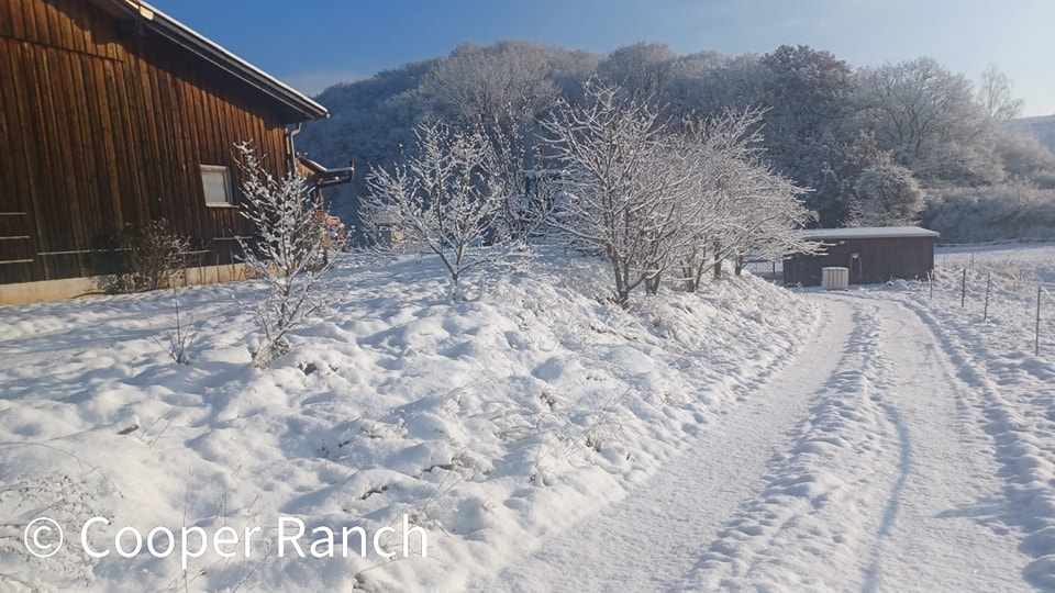 Cooper Ranch - Westernreiten nach Cowboyart bei Nordhausen added a new ...