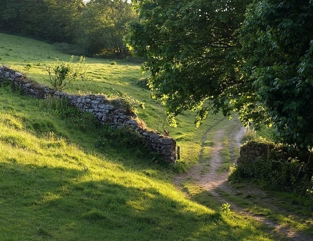 RuralHistoria - Prehistoric: The History of Footpaths in England: Many ...