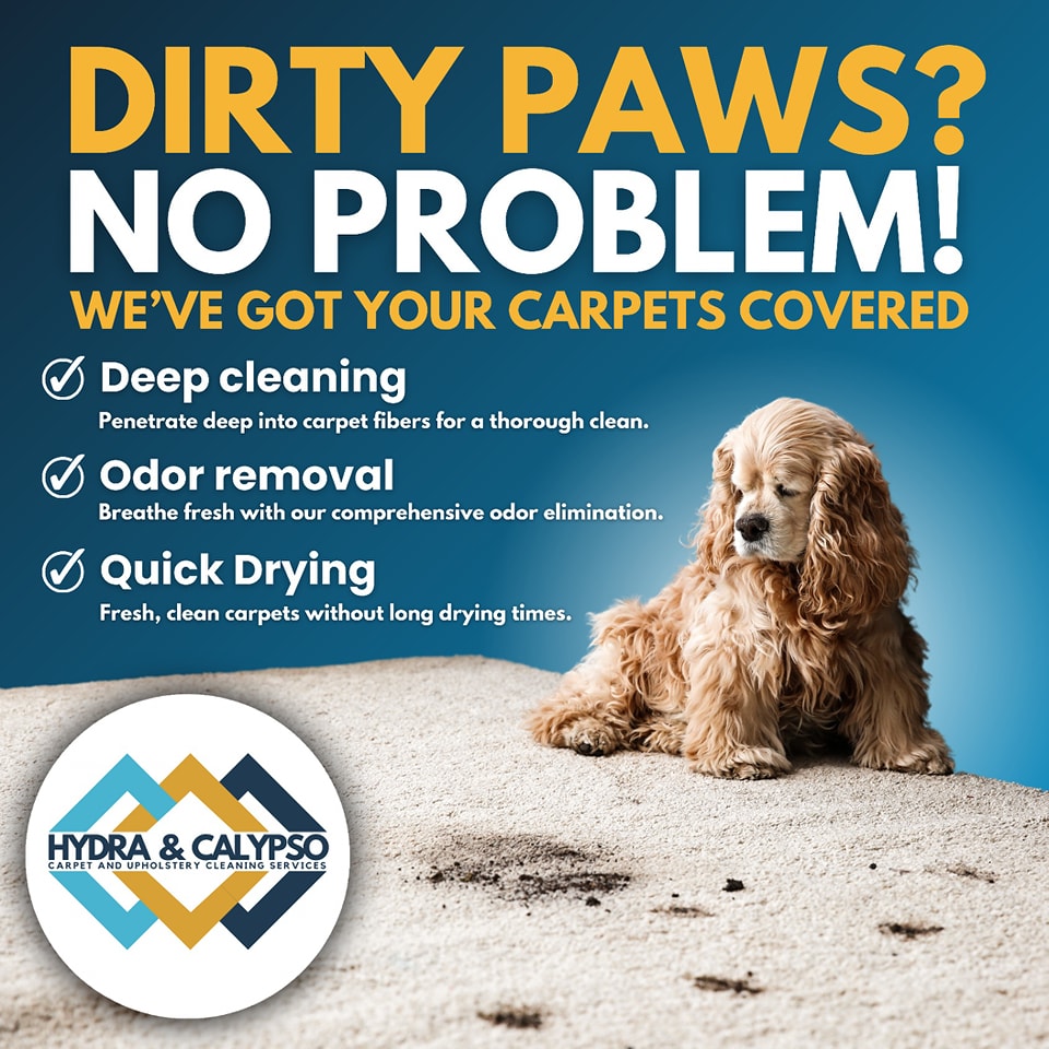 Visual Reference: Hydra Calypso Cleaning Services