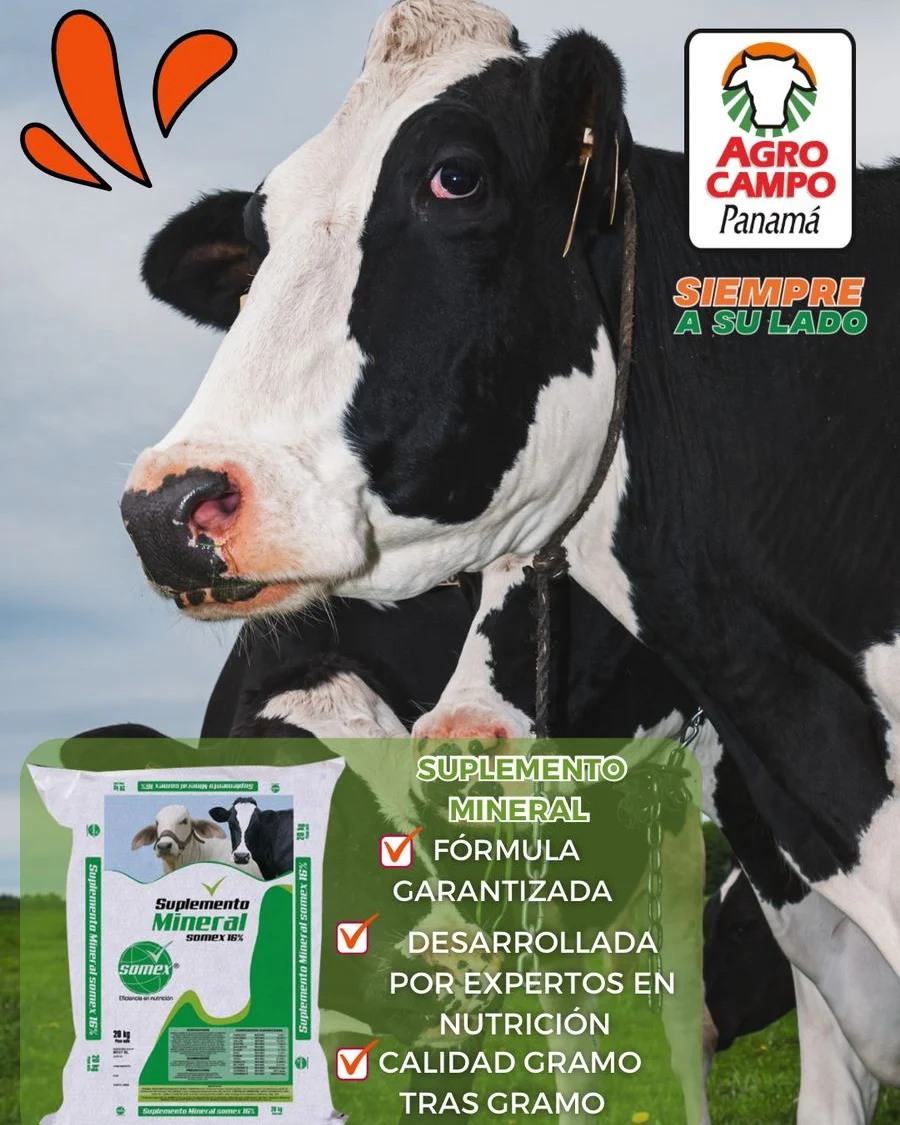 Mundo - Suplemento mineral somex 16 sal mineralizada que aporta macro y ...