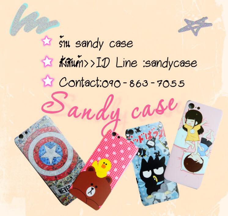 Sandy case
