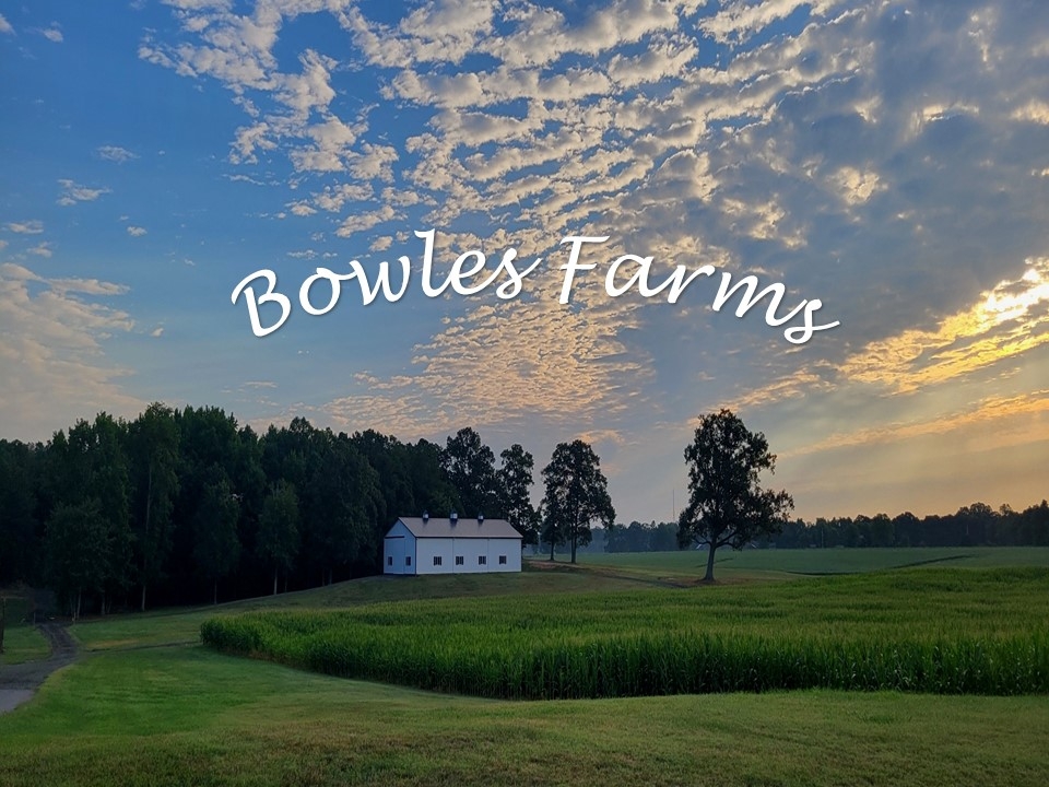 🇺🇸🌽 **OUR 2026 CORN MAZE DESIGN... - Bowles Farms - Corn Maze | Facebook