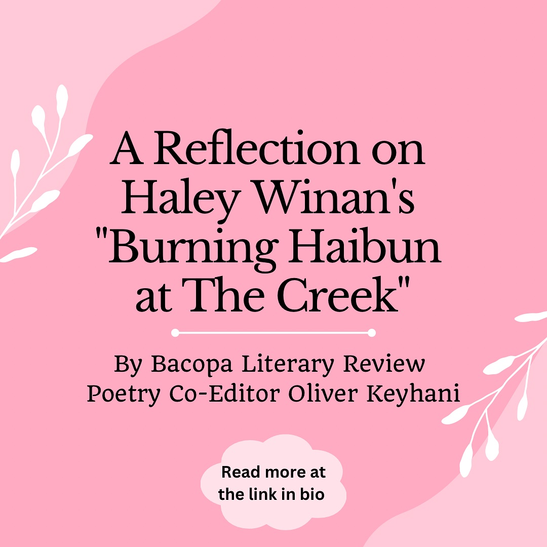 Bacopa Literary Review / Writers Alliance of Gainesville