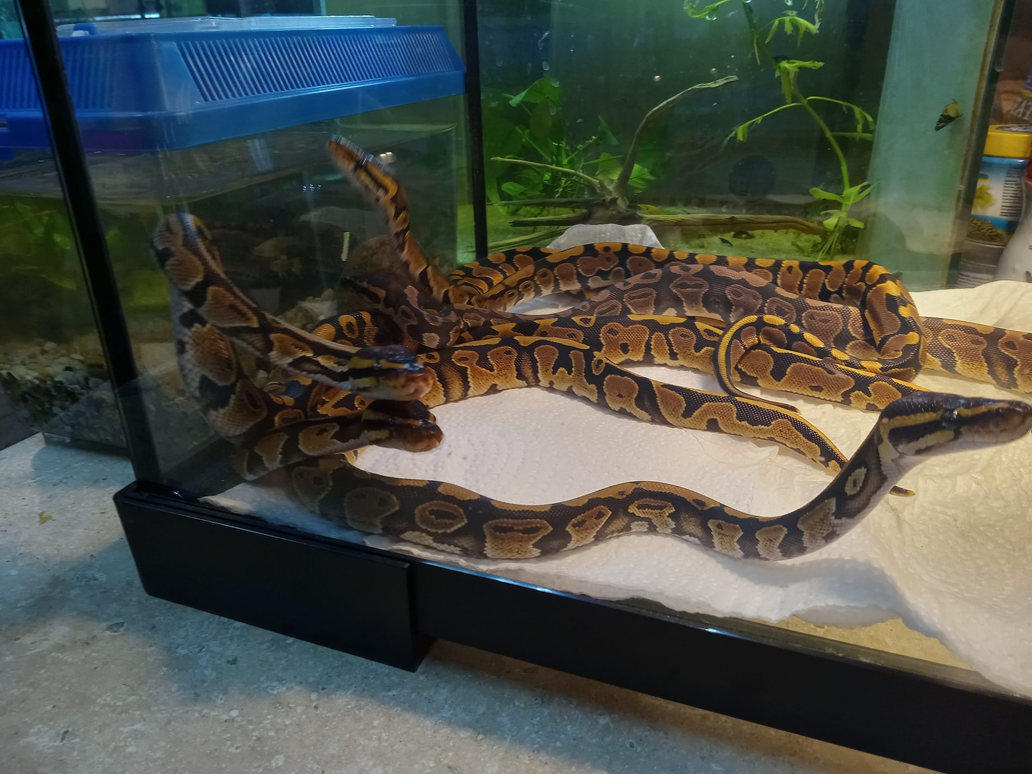 Zoo Pet Center | Peekskill NY