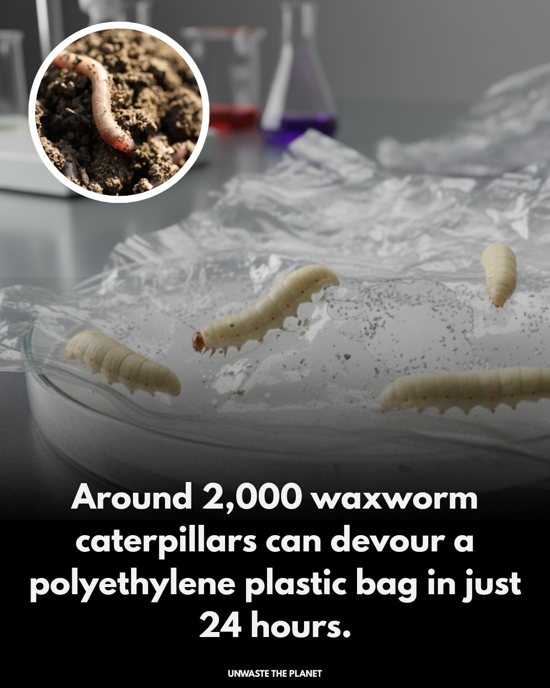 Unwaste - In a striking breakthrough, scientists have shown that ...