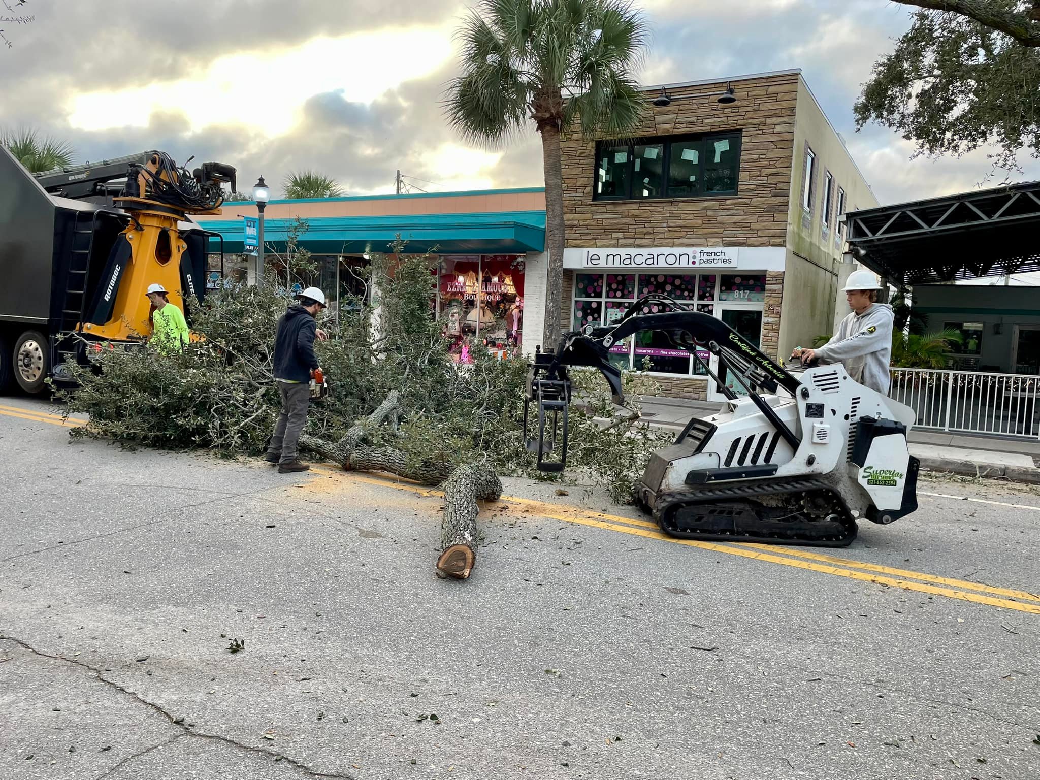 Superior Tree Service | Malabar FL