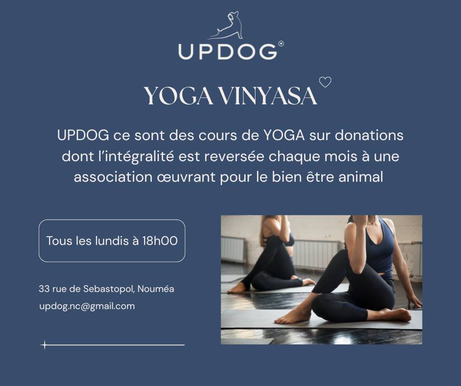UPDOG | Nouméa