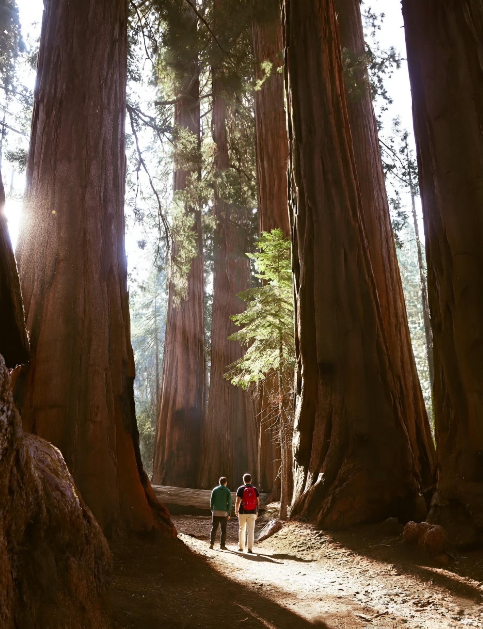 I Love - Sequoia National Park in California is one of the most ...
