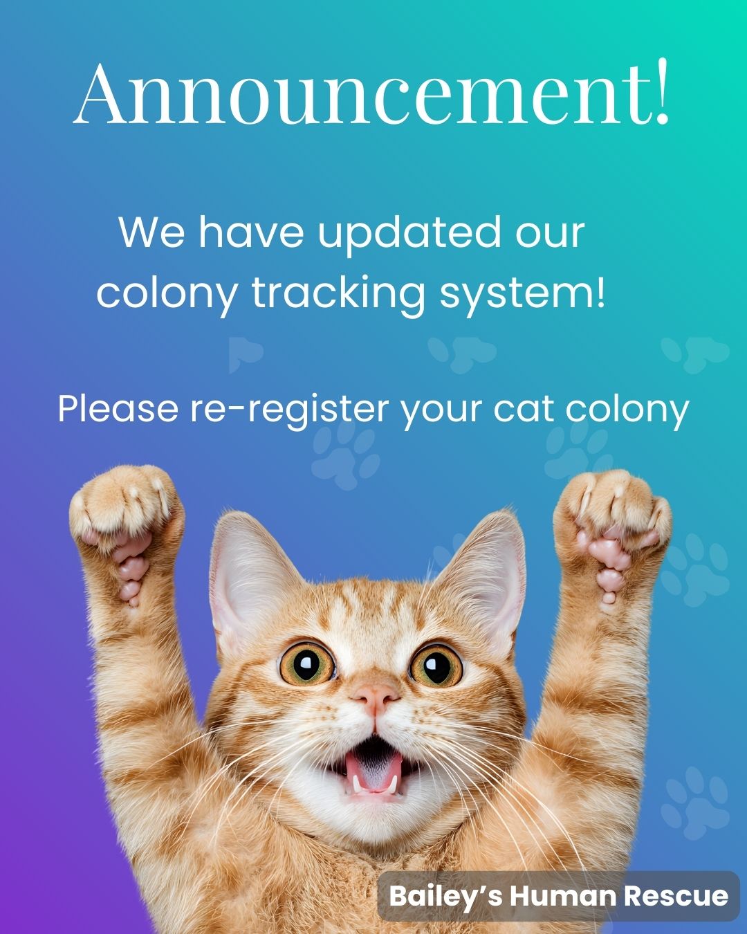 Bailey’s - We’ve upgraded our colony tracking system, and we need ...