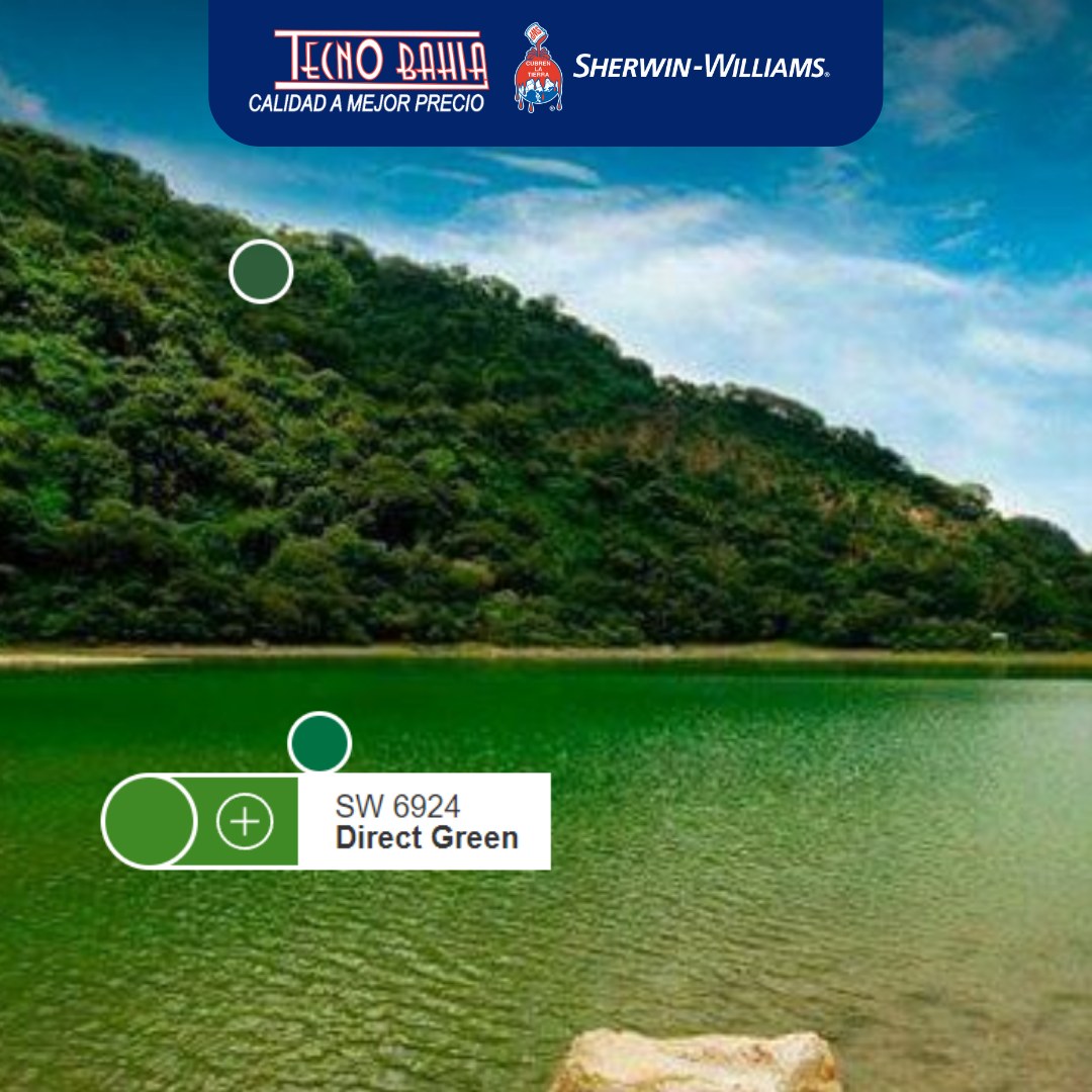 Tecno - Te presentamos el color de #lalagunadealegria : Direct Green ...