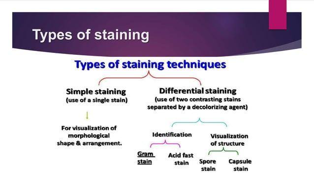 Medical laboratory... - Medical laboratory sciences