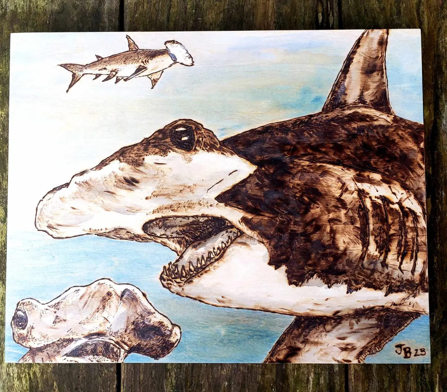 Art - FRENZY!: Great Hammerhead Shark Woodburning on 8x10in wooden ...