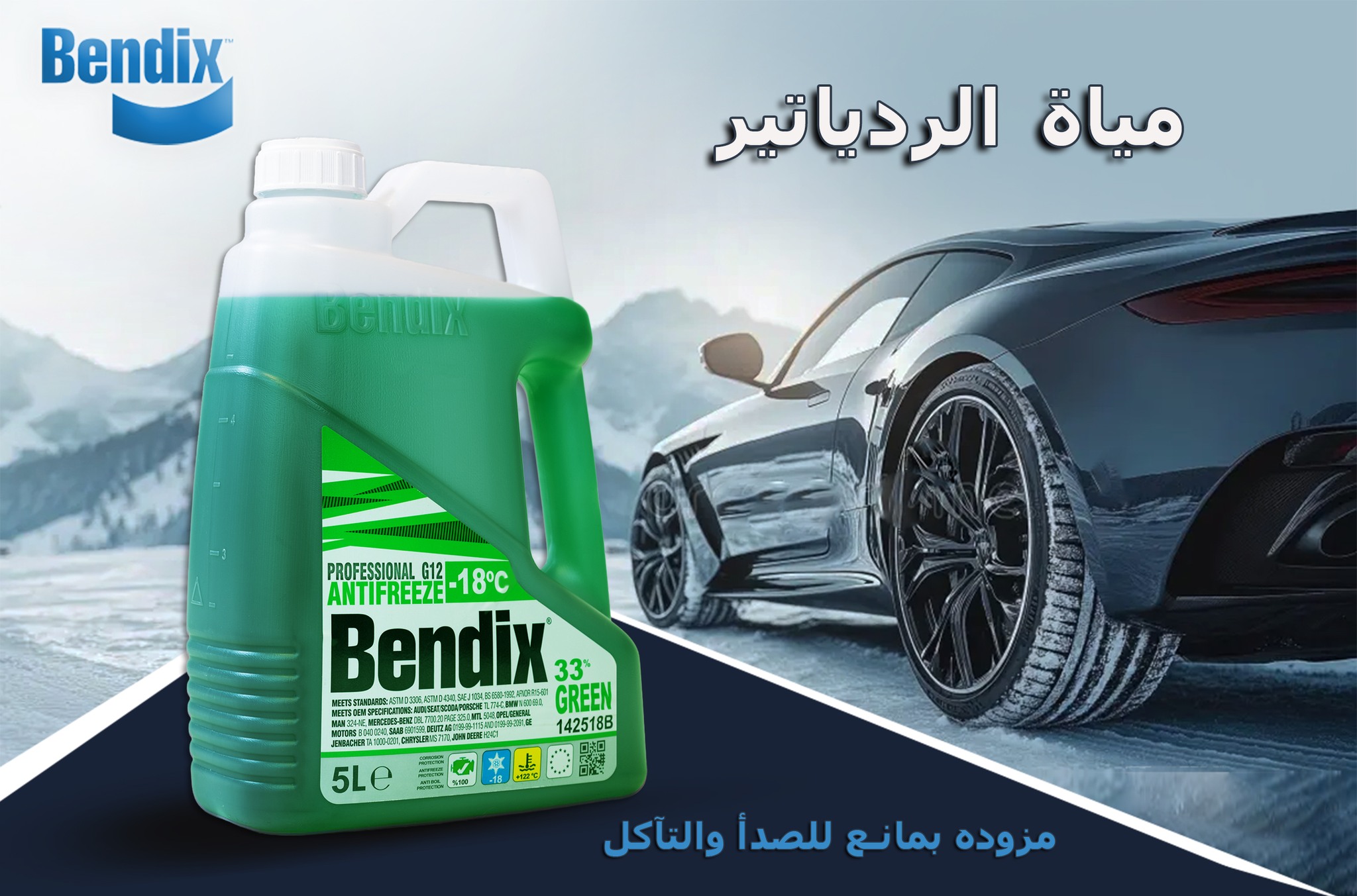 Bendix Egypt