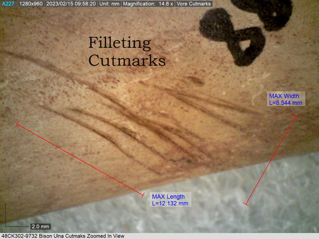 The Vore site provides valuable... - Bighorn Archaeology
