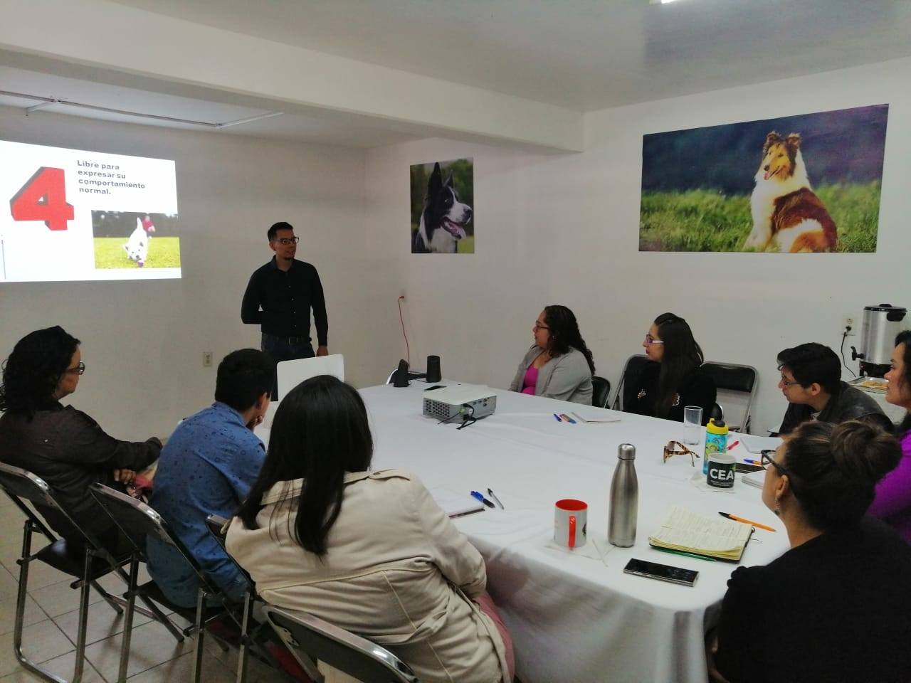 Una sesión más de nuestro... - Incaba Servicios Profesionales