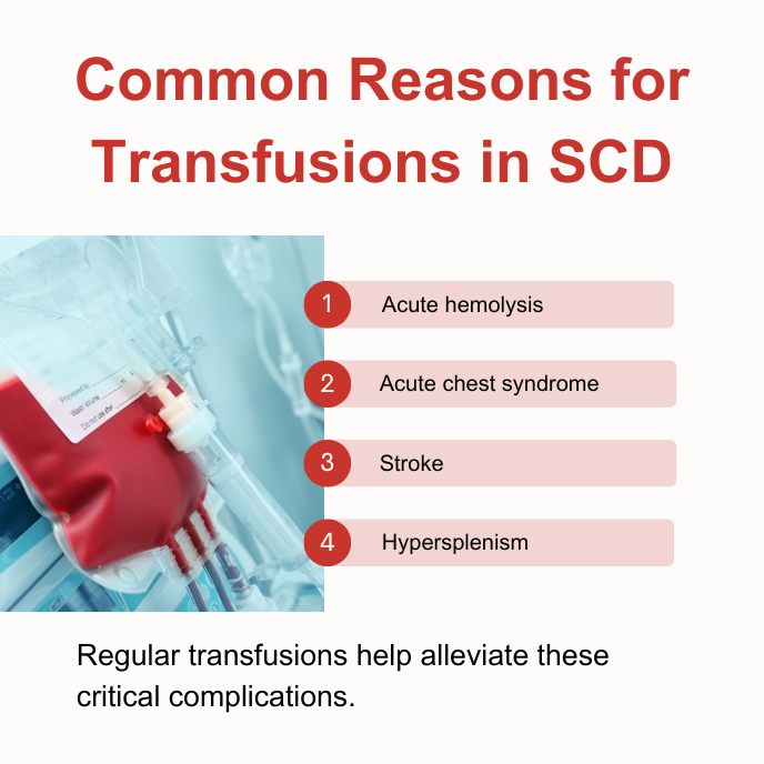 ISBT (International Society of Blood Transfusion) | Amsterdam