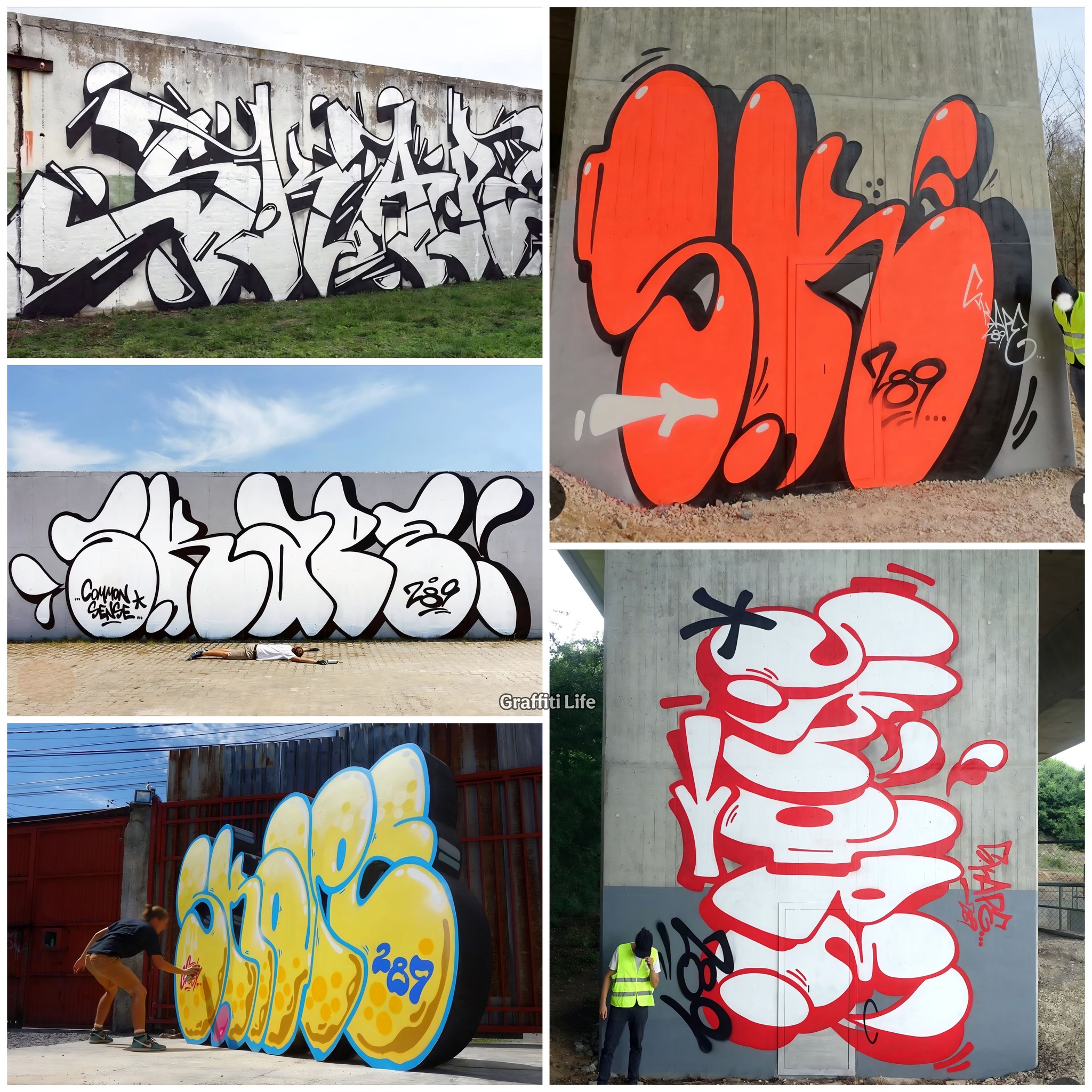Graffiti - Skape 🇩🇪 es una escritor de graffiti con base en Alemania ...