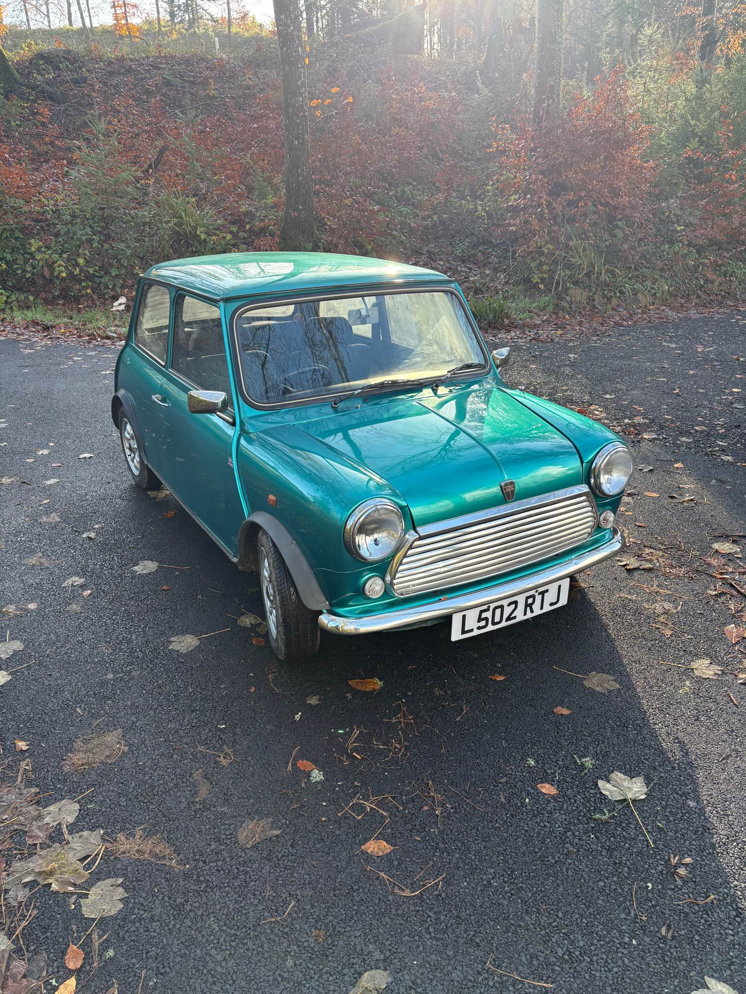 1993 Rover Mini Rio - Cars & Trucks - Exeter, Devon | Facebook Marketplace