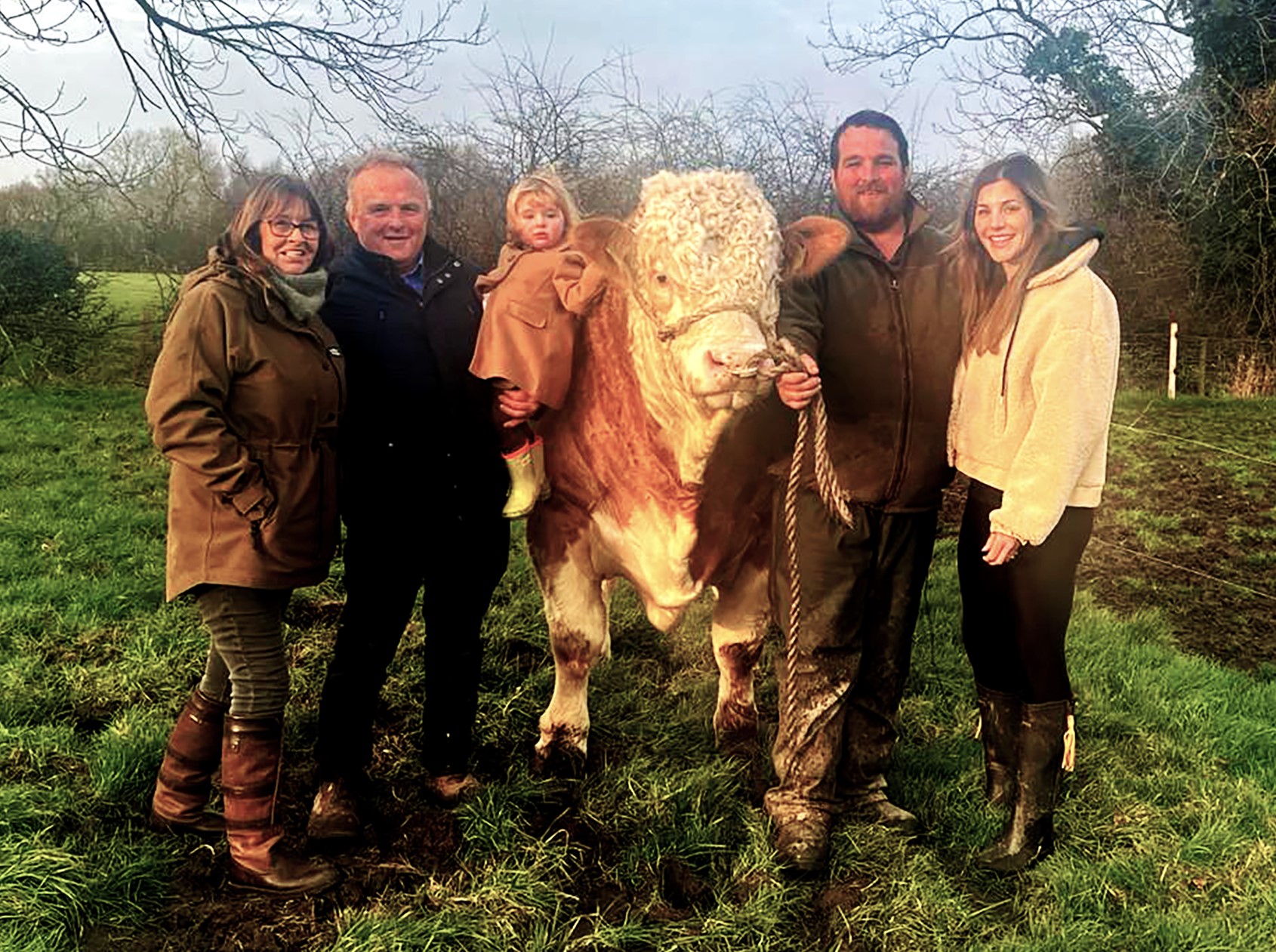 🔥🔥 BARLOWS AIM TO BREED... - British Simmental Cattle Society | Facebook