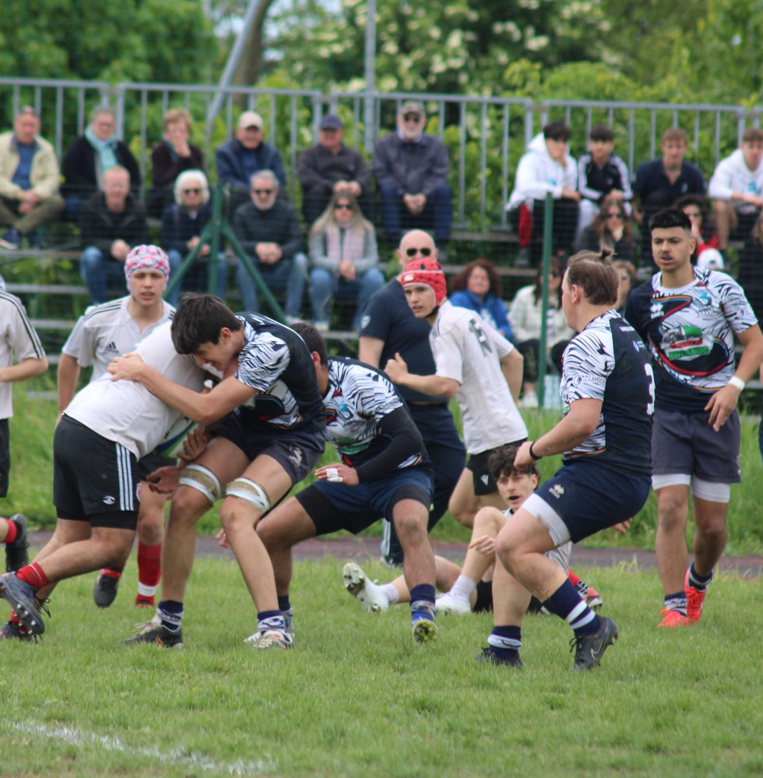 Lambro Rugby