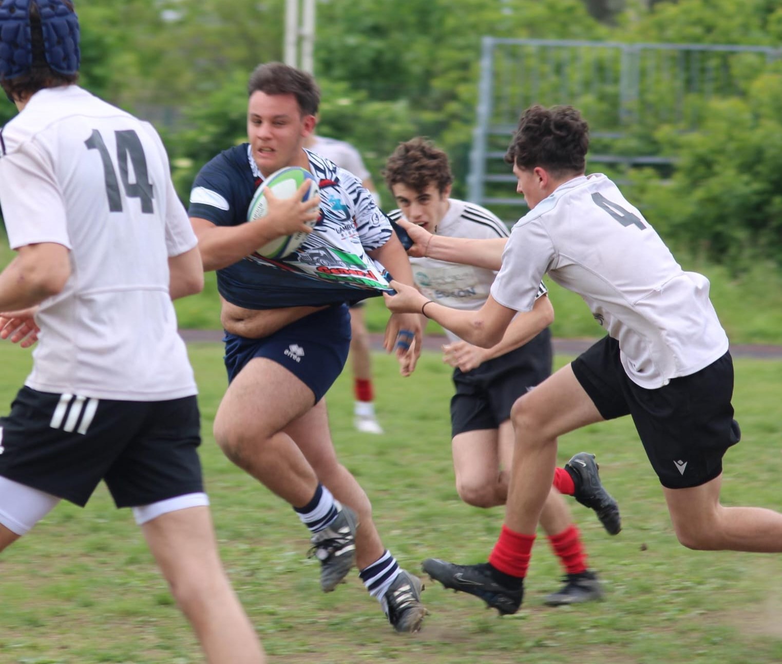 Lambro Rugby