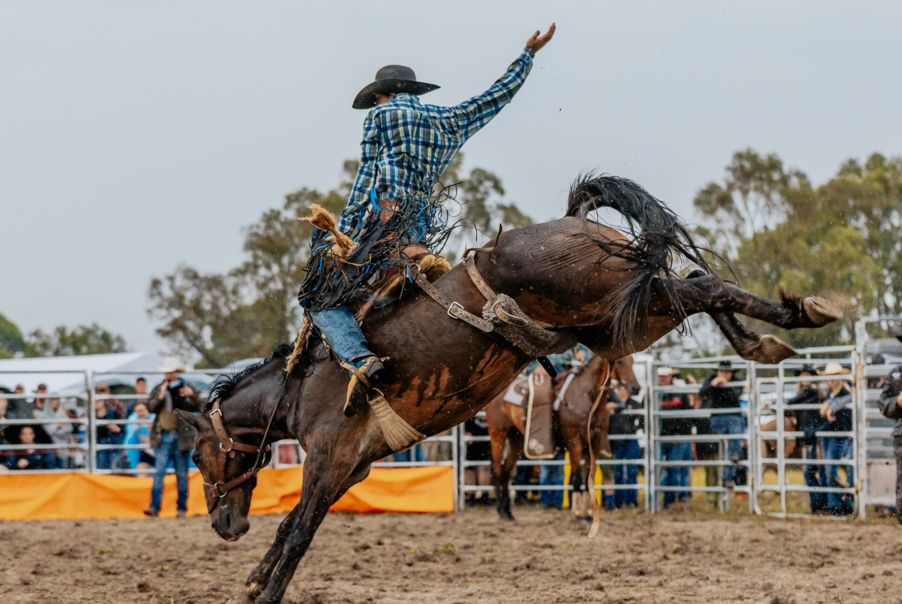 LIVE 🔴 Traralgon Rodeo 2026 | Facebook
