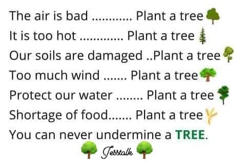 Patriot Tree Service LLC | Sebewaing MI