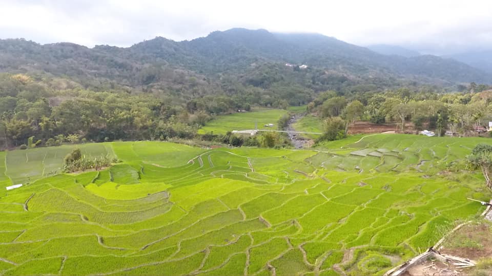 Detusoko Ecotourism ; Kanvas Alam... - Detusoko Ecotourism
