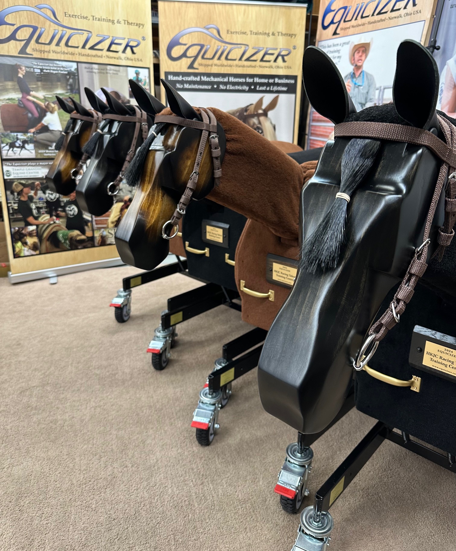 Equicizer