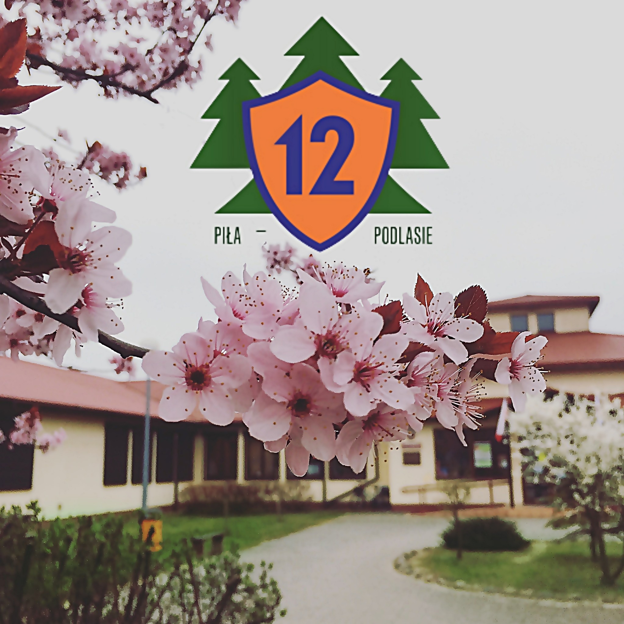 szko-a-podstawowa-nr-12-w-szko-a-podstawowa-nr-12-w-pile