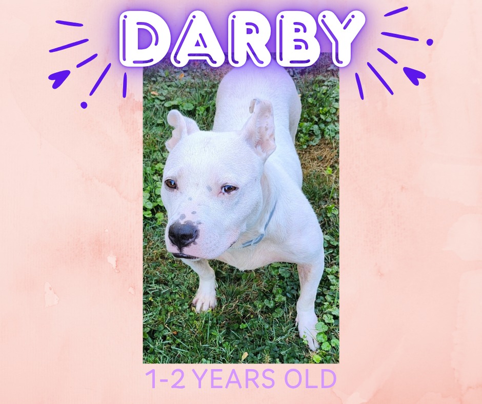 Keeping - 💕 💕 DARBY - loads of cuddles in a petite package! 💕 💕 🌸Female ...