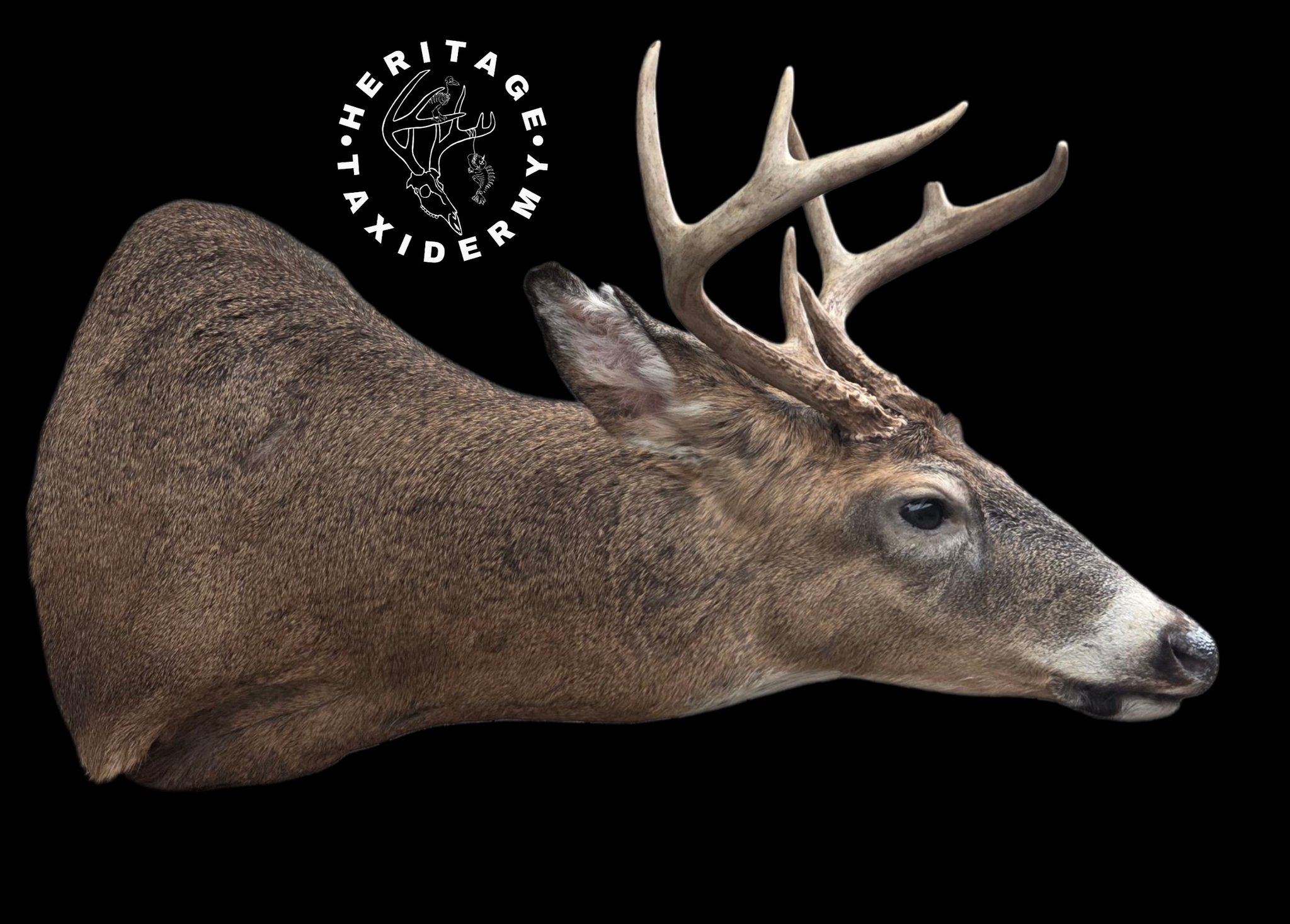 Let's hear those guesses in the comment section! Book a whitetail hunt ...