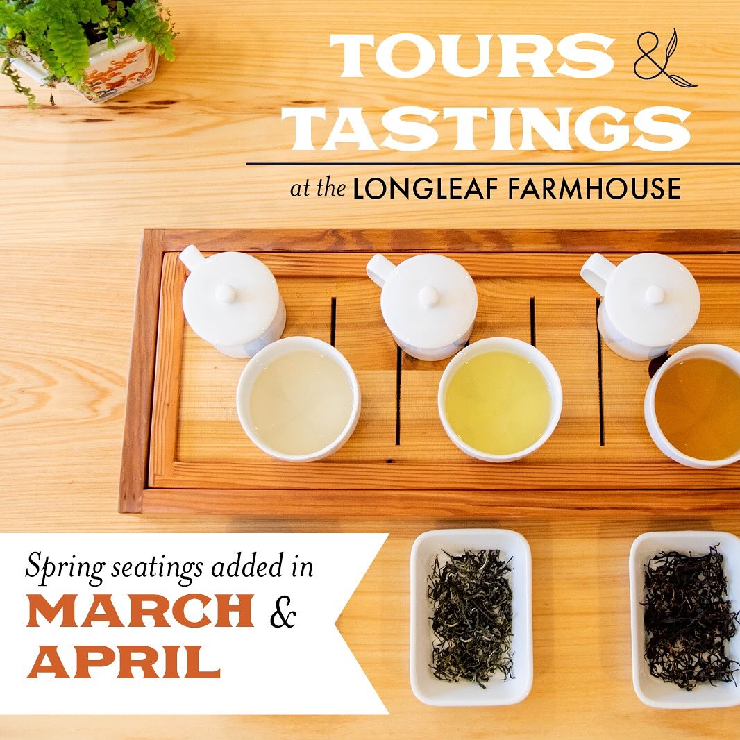 Longleaf Tea Company | Laurel MS