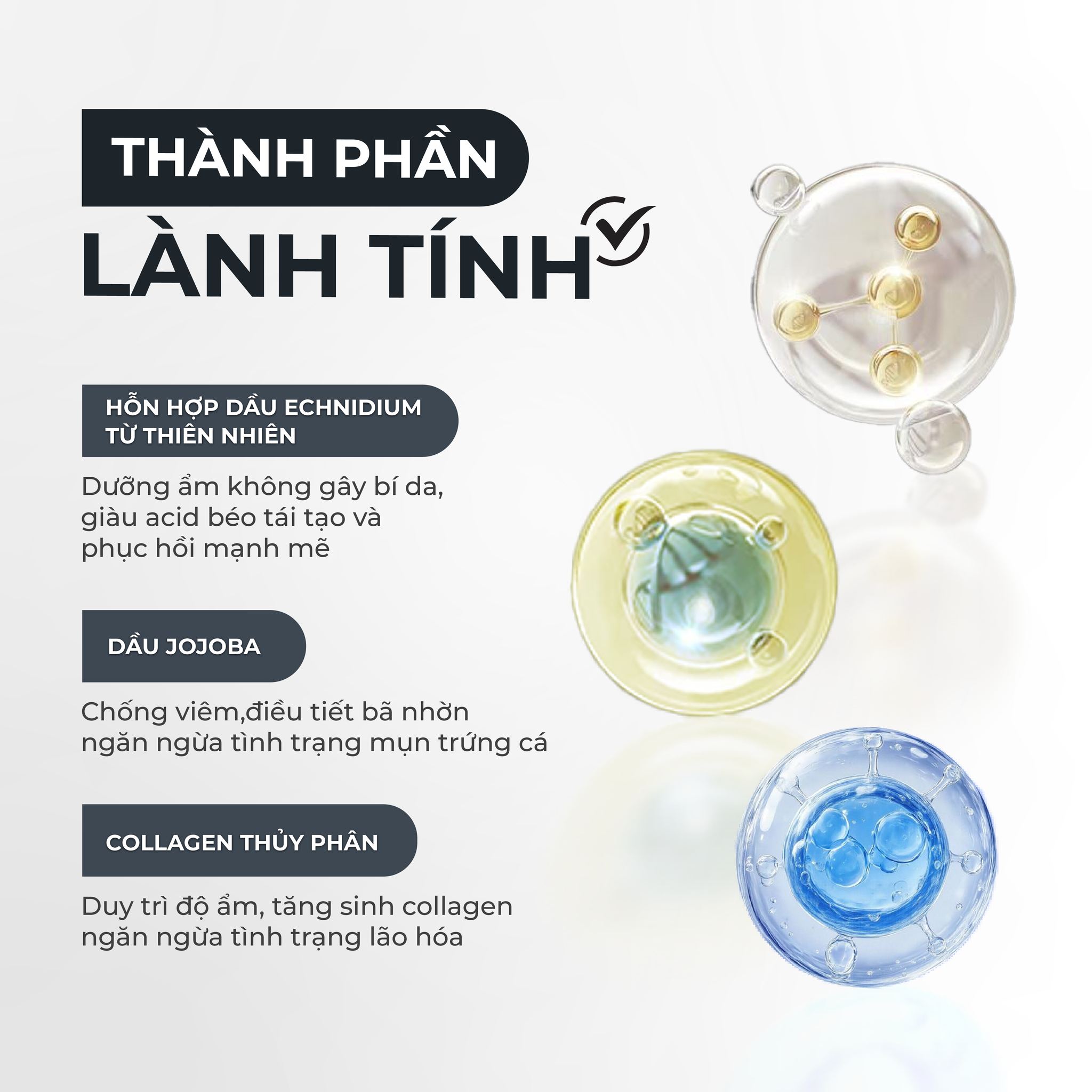 H.Derma - 🌟 RA MẮT SẢN PHẨM MỚI – SERUM COMPLEX 20% B3 🌟 Giải pháp toàn ...