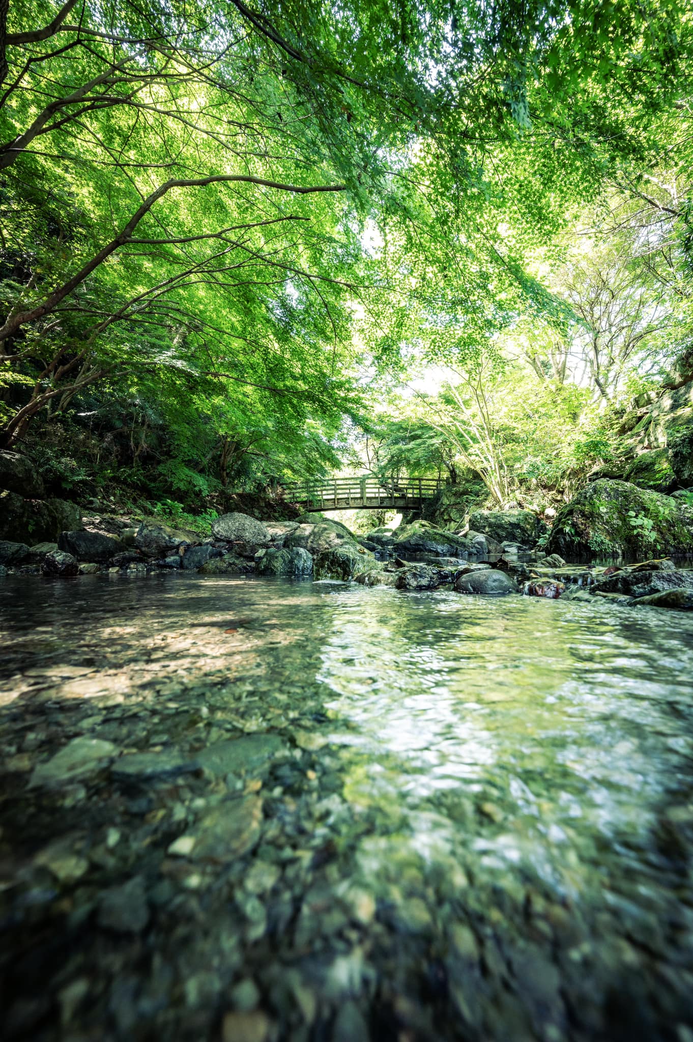日本の里で夏涼み】 風布川が流れる日本（やまと）の里。夏休みはぜひ