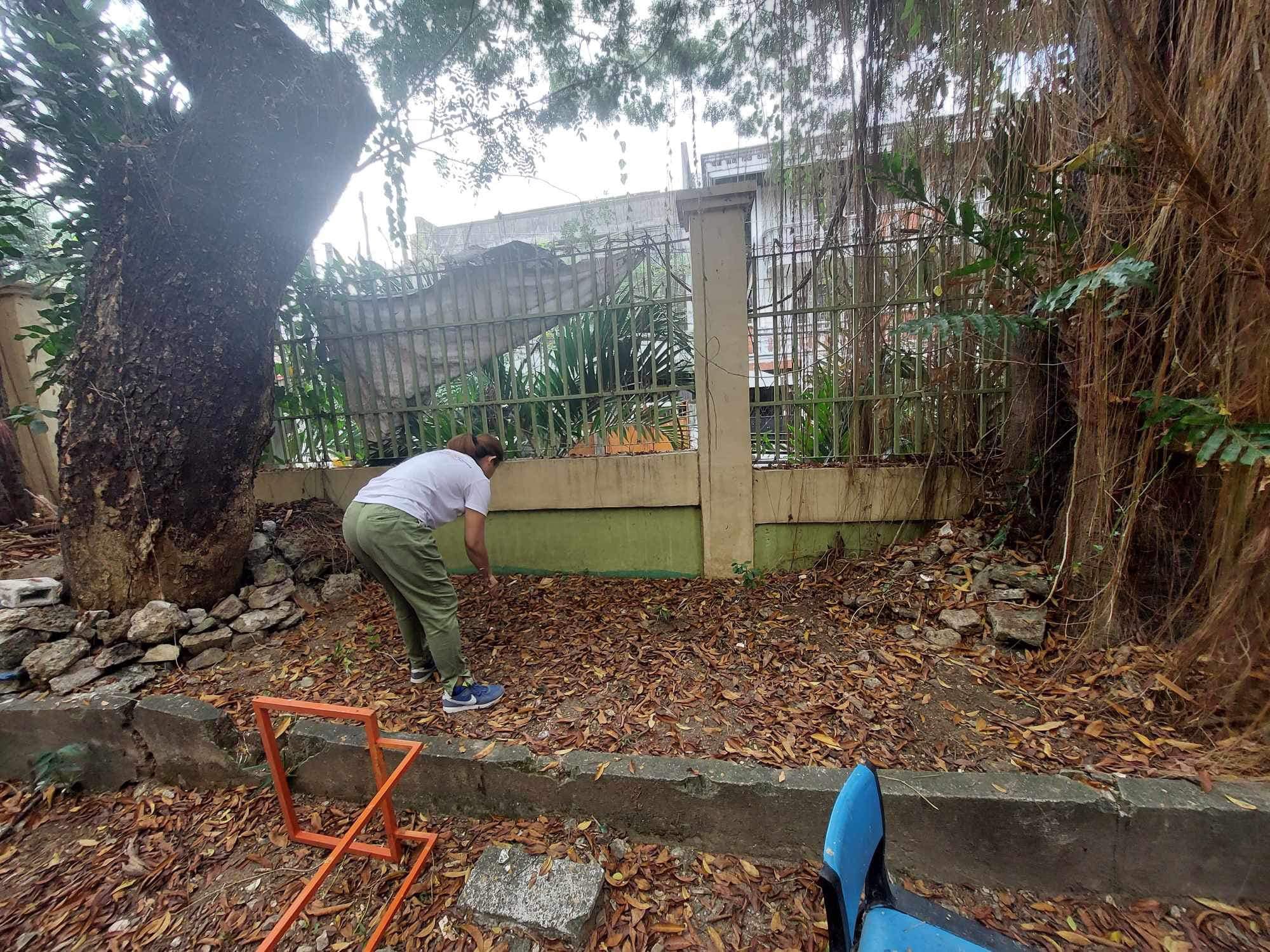 🌳🌲🌱 Today, we joined the Department of Education (DEPED) in their ...